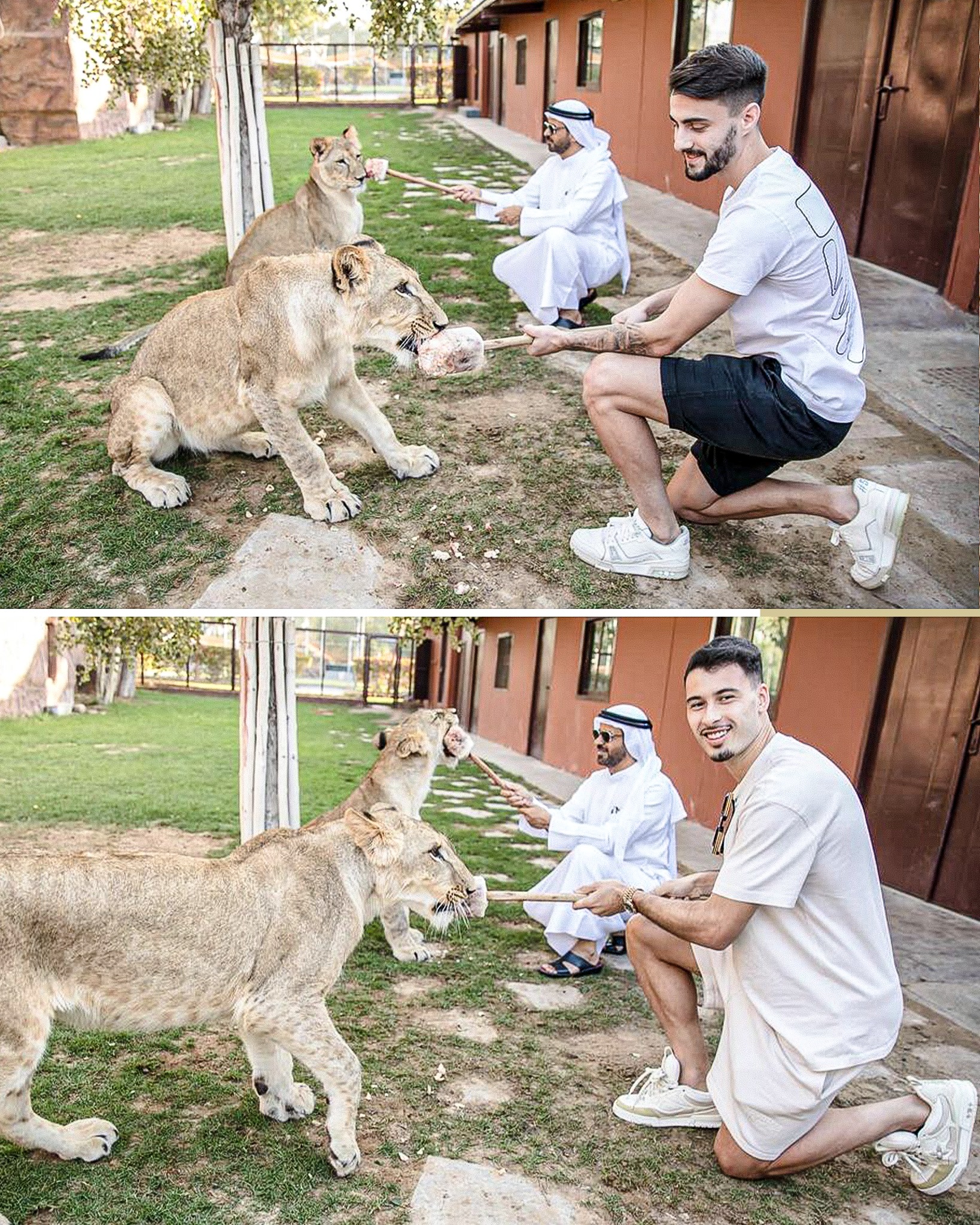 SUPER COUPLE: Arsenal's Martinelli and Vieira's Exciting Dubai Zoo Adventure