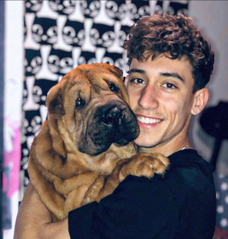 Footballers with animals on X: "Kostas Tsimikas providing emotional support  for his dog https://t.co/xaRprkIhSv" / X