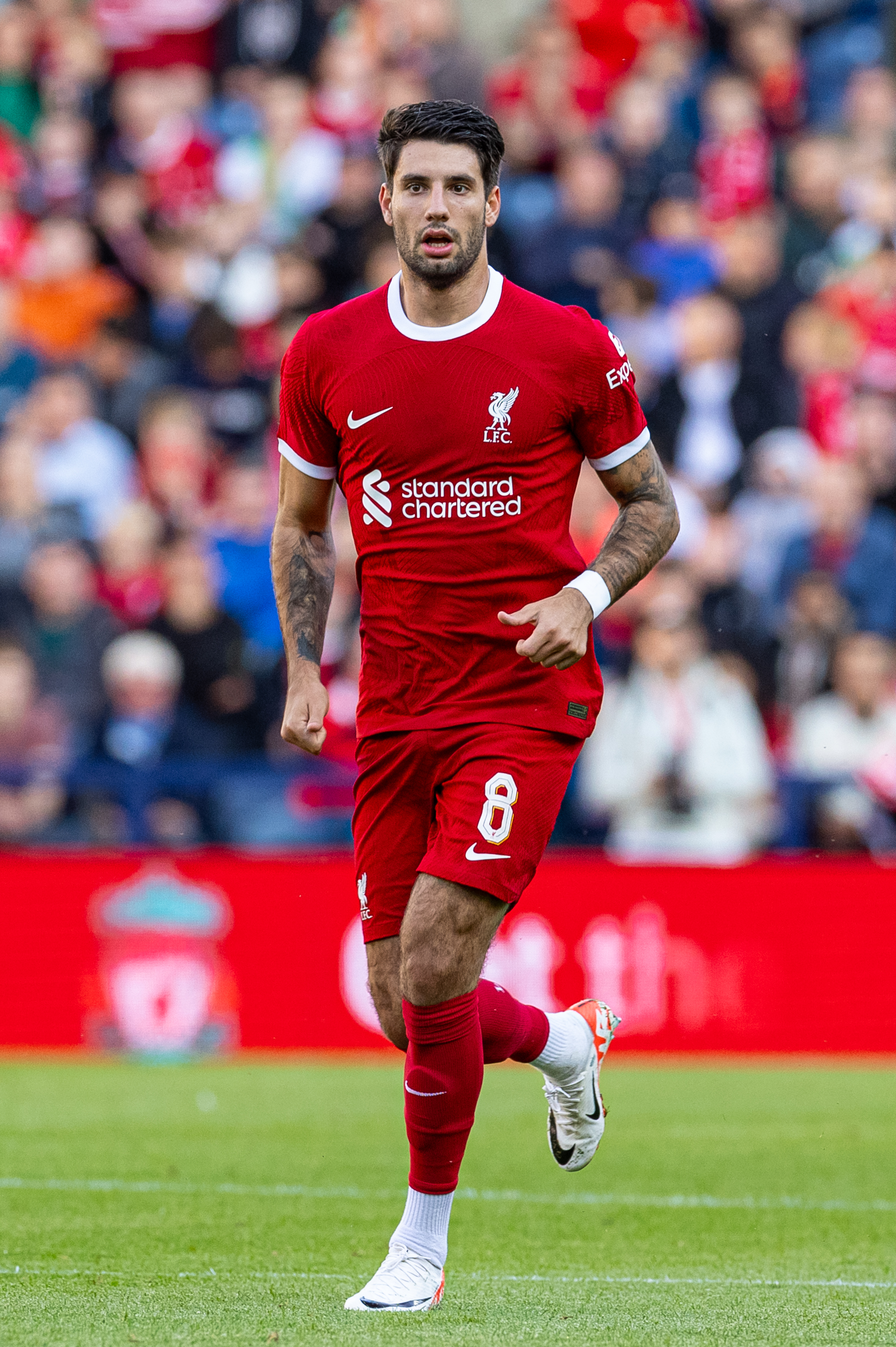 Anfield Watch on X: "Happy Birthday to Liverpool's new number  Dominik  Szoboszlai, who turns 23 today ️ What a player, what a man 🫡  https://t.co/mCQPNjT8nf" / X