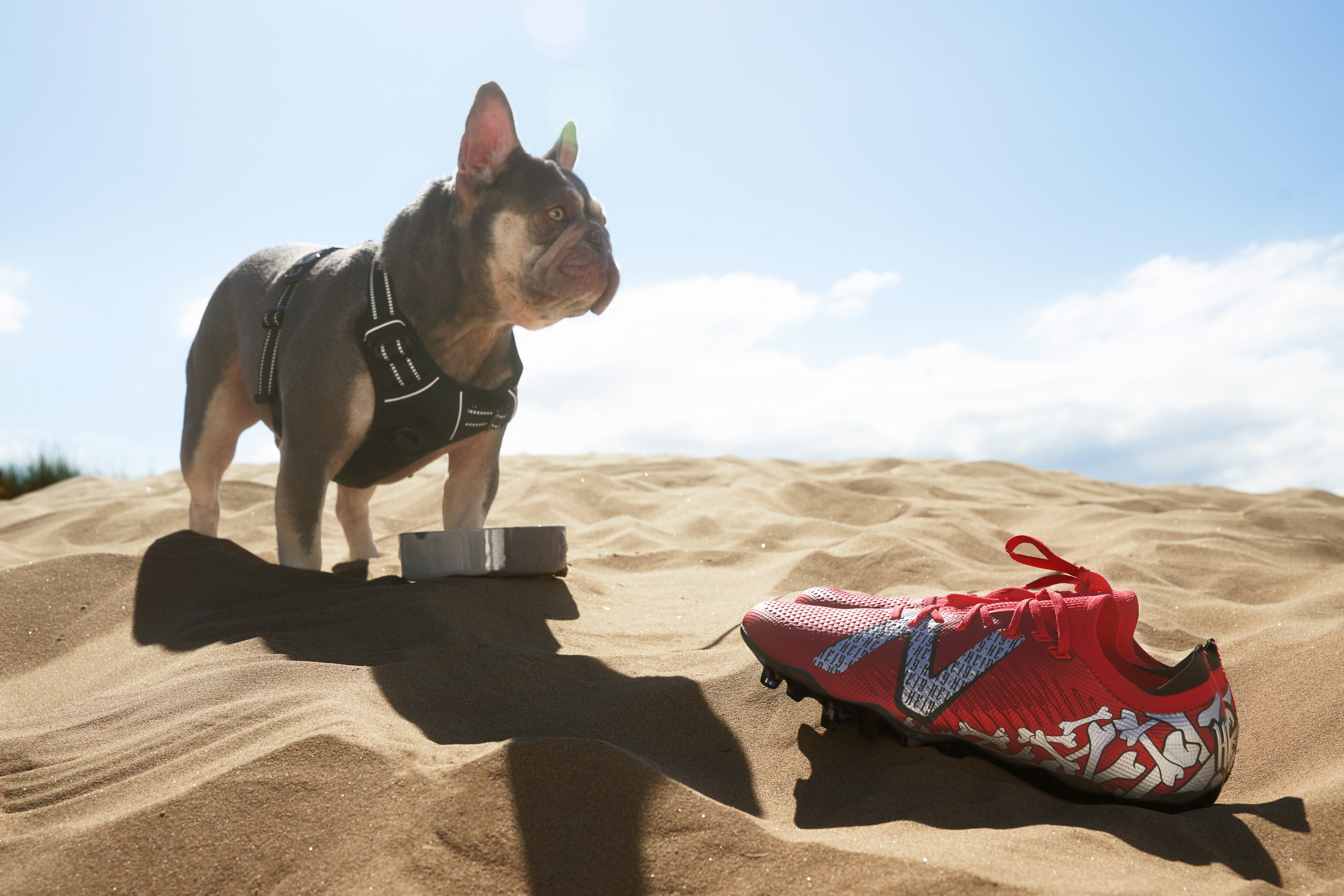 SoccerBible on X: " @NBFootball unveil a new signature edition boot for  Harvey Elliott, with the design of the Tekela V4 'Paisley' edition taking  the Liverpool midfielder's strong connection with his dog,