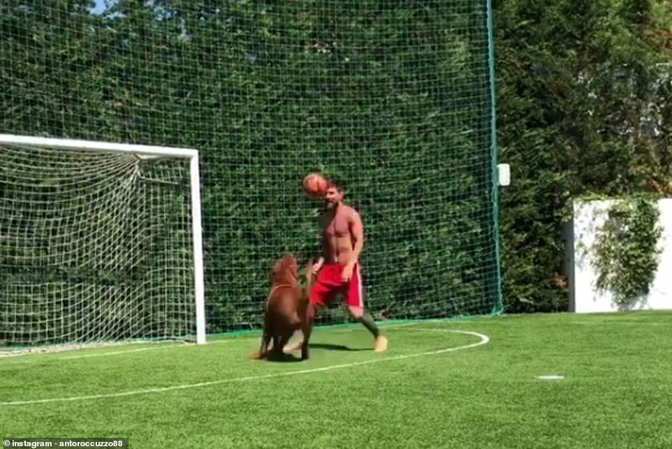 Messi juega con Hulk en el pequeño campo de fútbol de su jardín trasero, que incluye porterías y banquillos.