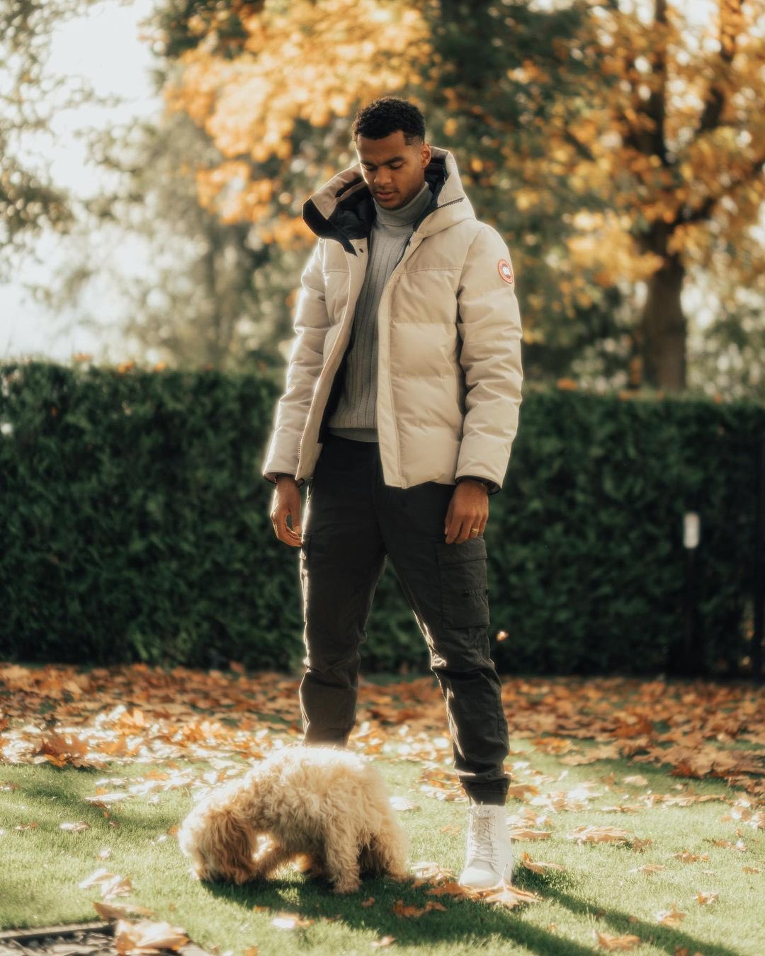 Footballers with animals on X: "Cody Gakpo admiring his dog https://t.co/3RTChZXkrq" / X